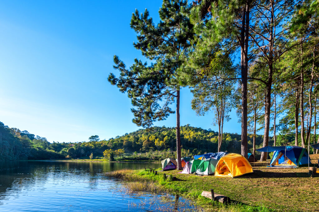 shaded campsite location tent setup under trees near water for natural cooling summer camping