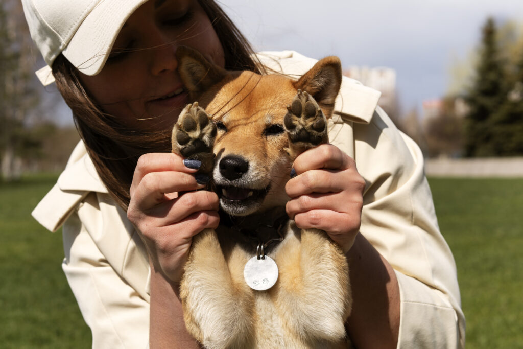 Have a dog ID for your pet's safety